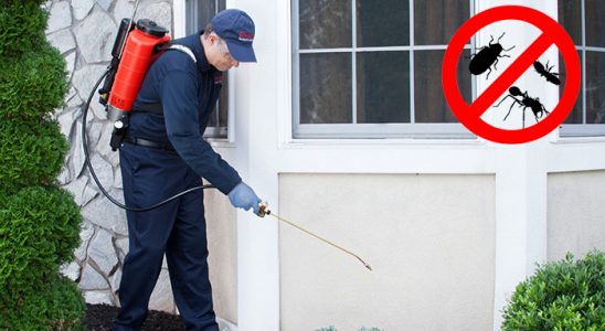 Yenipazar Böcek İlaçlama böcek ilaçlama ve haşere kontrolü — ilaclama-tr.com